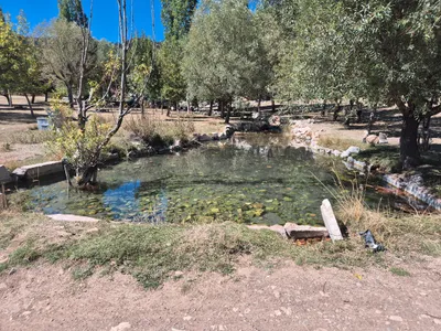 Dirmil – Kozağaç Göleti – Kırkpınar Yaylası Parkuru